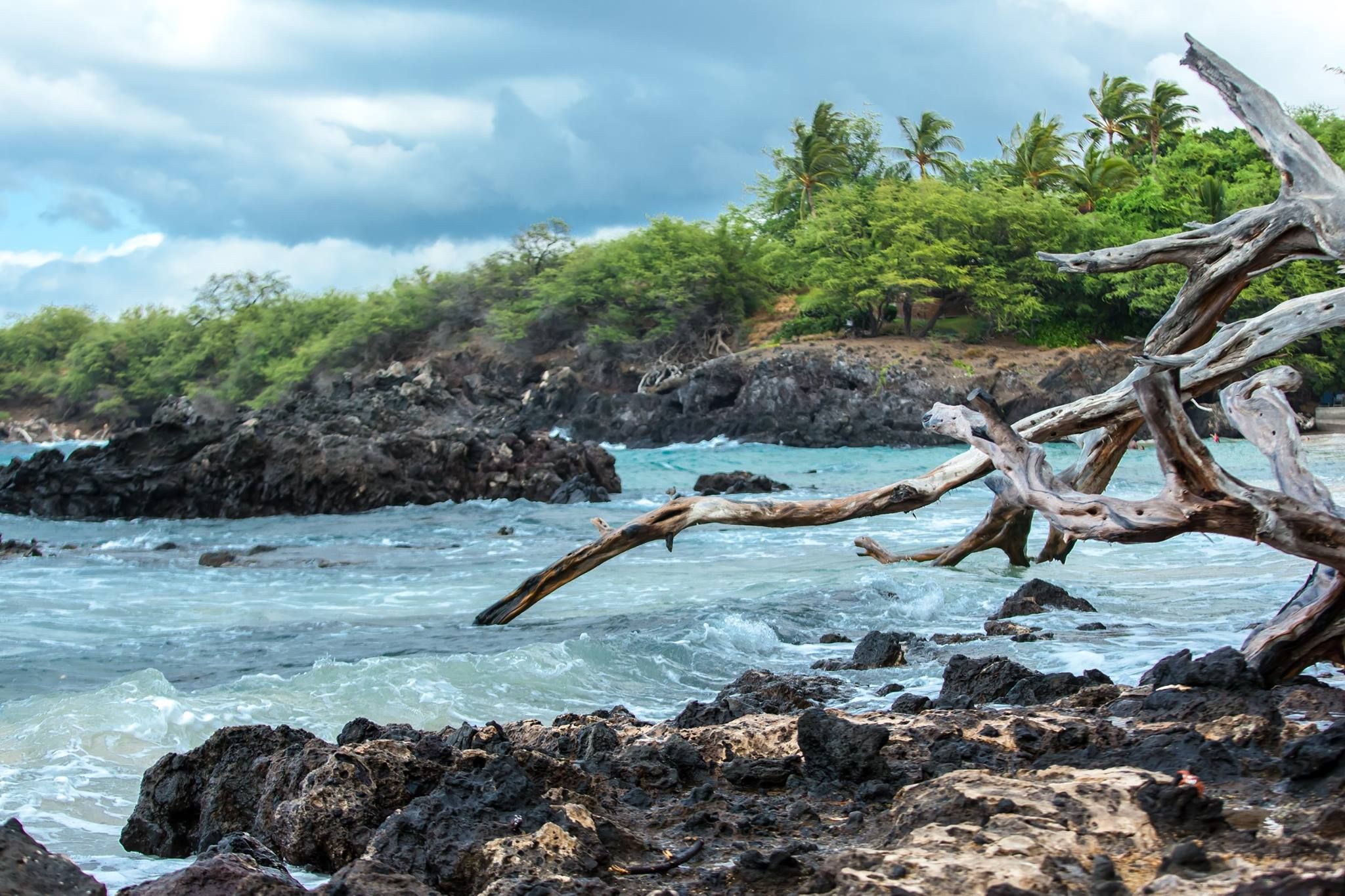 Maui Wedding Packages